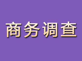 大宁商务调查